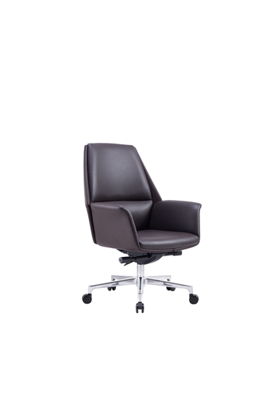Ƥ����CH-255B (2)